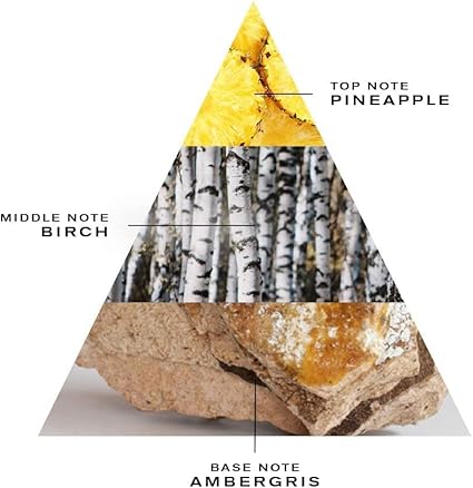 Aventus by Creed Eau De Parfum 100ml